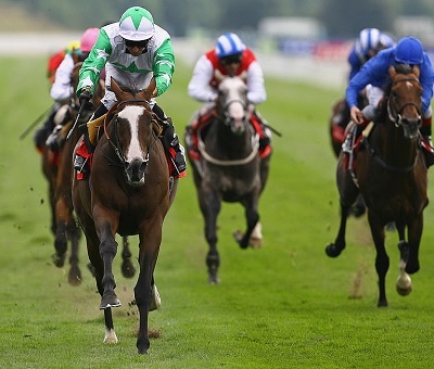 Wednesday's Horse Racing Market Movers