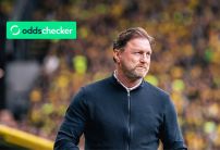Leicester Next Manager Odds: Ralph Hasenhüttl Leads the Market