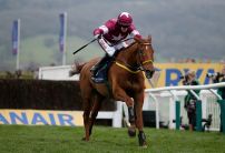 Road To Respect romps home in the Brown Advisory Plate