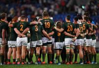 Rugby World Cup 2019: Latest odds and betting activity