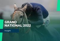 Grand National Odds: Snow Leopardess to end 10-year wait for a grey winner?