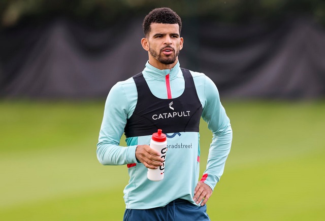 Bournemouth Odds: 75% think Cherries will avoid Premier League relegation