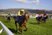 Champion Hurdle Odds: State Man prepares for Constitution Hill test at Leopardstown