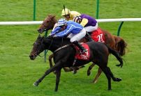 Cesarewitch Handicap Entries, Runners Guide & Betting Latest