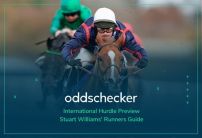 International Hurdle Odds: Tips, Runners Guide & Preview
