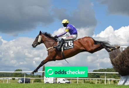 Summer Plate Preview 2026: Runners, Trends, Odds & Betting Tips
