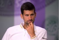 Djokovic dominates Wimbledon betting