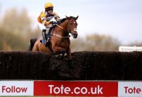 Tote launches new 10% dividend enhancement 'Tote+' for all customers