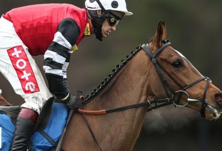Bet with the Tote and receive a 10% increase in dividends with 'Tote+'