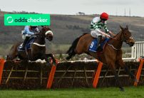 What is a trifecta bet in horse racing?