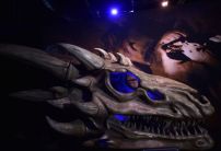 This main character is 98% likely to die in Game of Thrones Season 8, according to bookies
