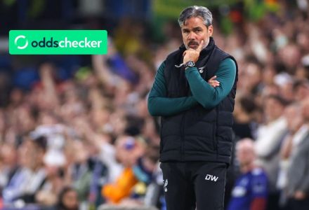 Next Norwich Manager Odds: Who are the four contenders to replace David Wagner?