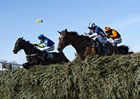 Grand National Preview