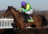 Sire May Not Get Home In The Cyclone