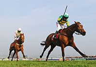 Thursday Preview
