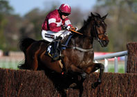 Revealing Arkle Mover