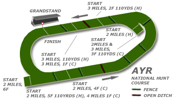 Ayr race tracks