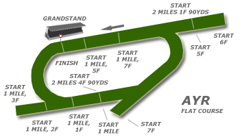 Ayr race tracks