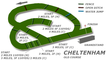 Cheltenham race tracks