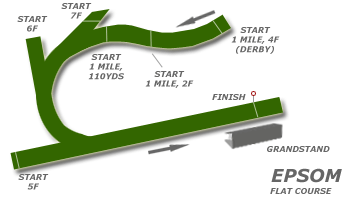 Epsom race tracks