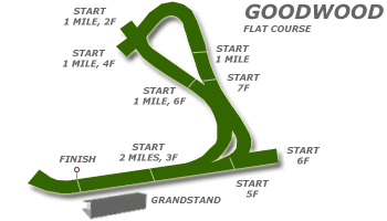Goodwood race tracks