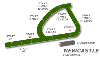 Newcastle race tracks