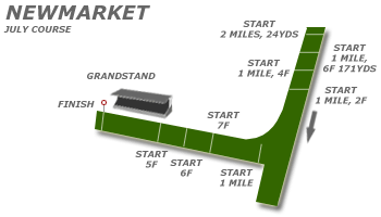 Newmarket race tracks