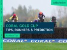 Coral Gold Cup 2023 Tips, Runners & Prediction for Saturday at Newbury