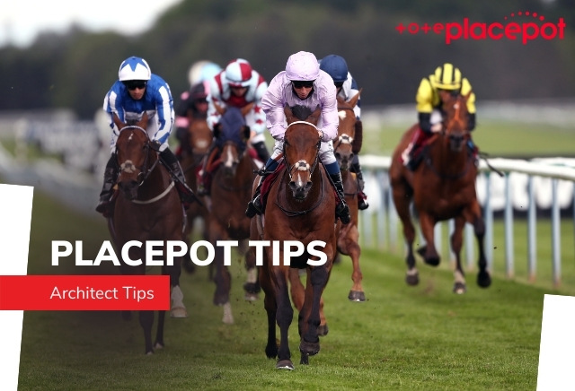Today's Tote Placepot Tips for Newton Abbot