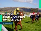 Irish Champion Hurdle 2023: Tips, Runners & Prediction for Leopardstown
