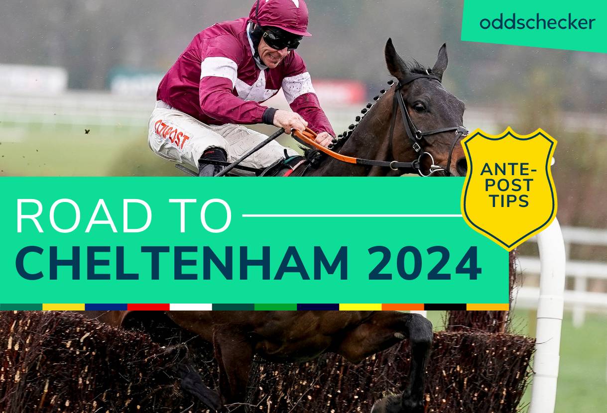 Cheltenham Festival 2024 Tips: Week 9 Road to Cheltenham Preview