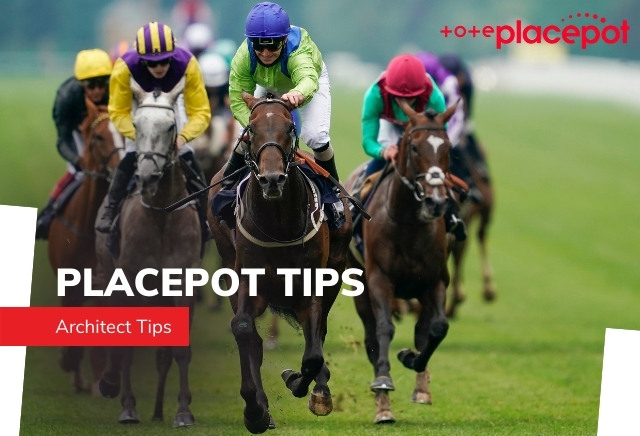 Today's Tote Placepot Tips for Newbury
