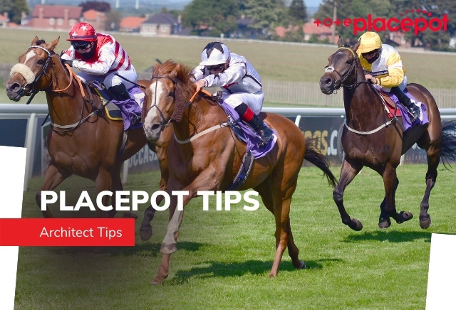Tote Placepot Tips Today for Racing at Sedgefield