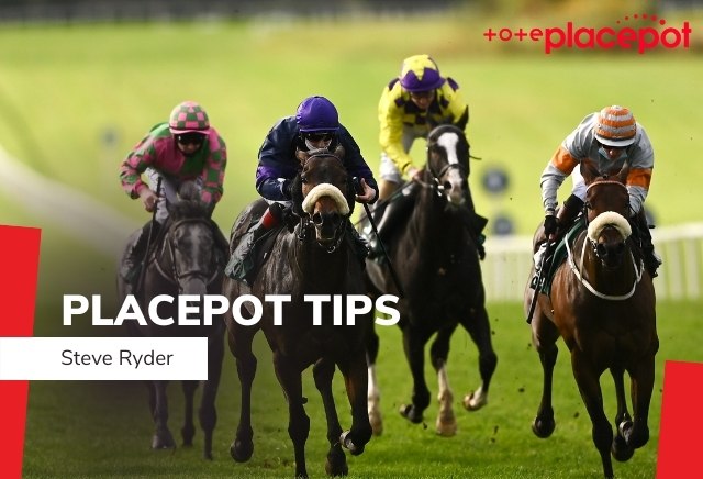 Today's Tote Placepot Tips for Wolverhampton