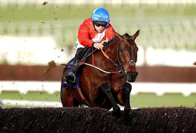 Cheltenham Festival 2023: A Plus Tard out to 12/1 for Gold Cup