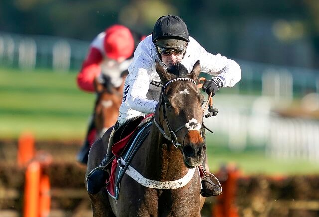 Ginger Joe's Notable Entries featuring Constitution Hill