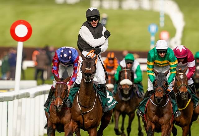 Christmas Hurdle 2022 Tips & Cheltenham Festival Clues