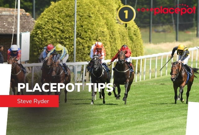 Tote Placepot Tips Today for Racing at Hamilton 