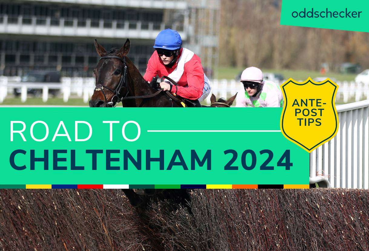 Cheltenham Festival 2024 Tips Week 8 Road to Cheltenham Preview