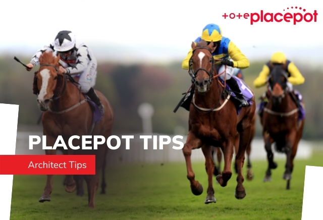 Tote Placepot Tips for Sunday's Racing at Pontefract