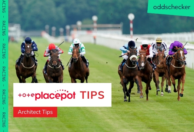 Today's Tote Placepot Tips for Plumpton
