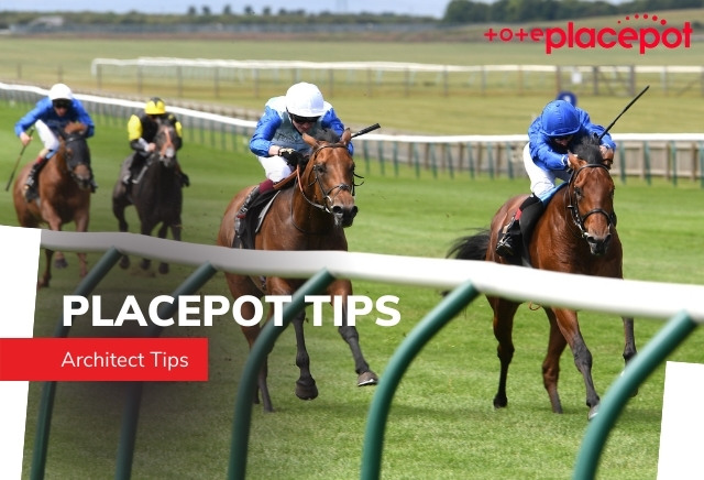 Today's Tote Placepot Tips for Ayr