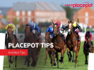 Tote Placepot Tips for Friday's Racing at Newbury