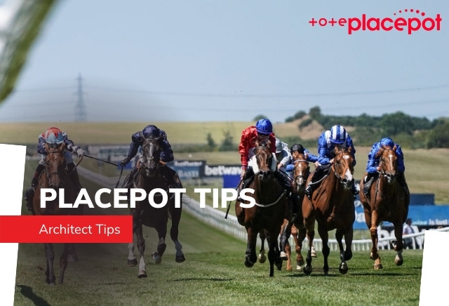 Today's Tote Placepot Tips for Newmarket