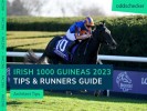 Irish 1000 Guineas 2023 Tips & Runners Guide