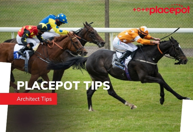 Tote Placepot Tips for Tuesday's Racing at Hamilton