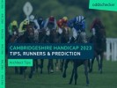 2023 Cambridgeshire Handicap Tips, Runners & Prediction for Newmarket