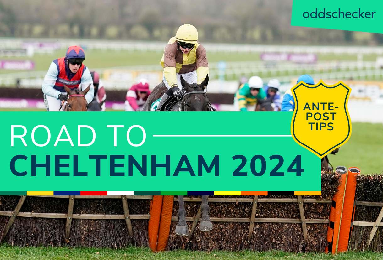 Cheltenham Festival 2024 Tips: Week 5 Road to Cheltenham Preview