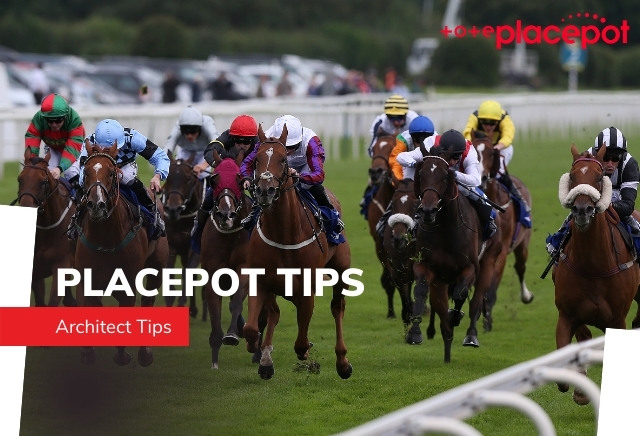 Today's Tote Placepot Tips for Ayr