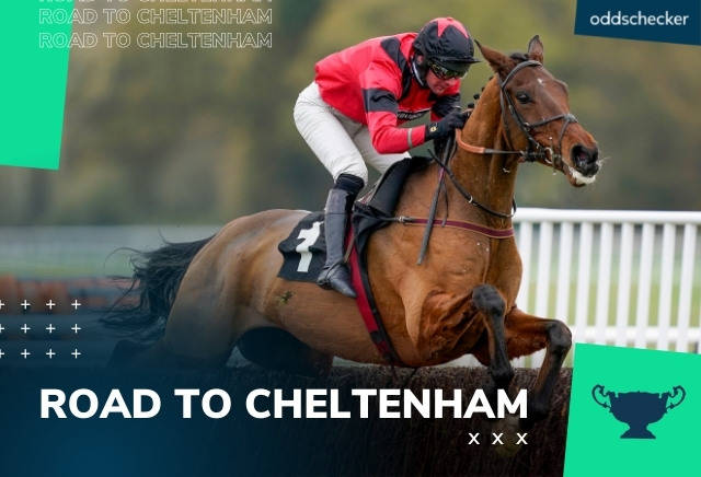 Ahoy Senor cut to 10/1 for National Hunt Chase and Festival Novices' Chase